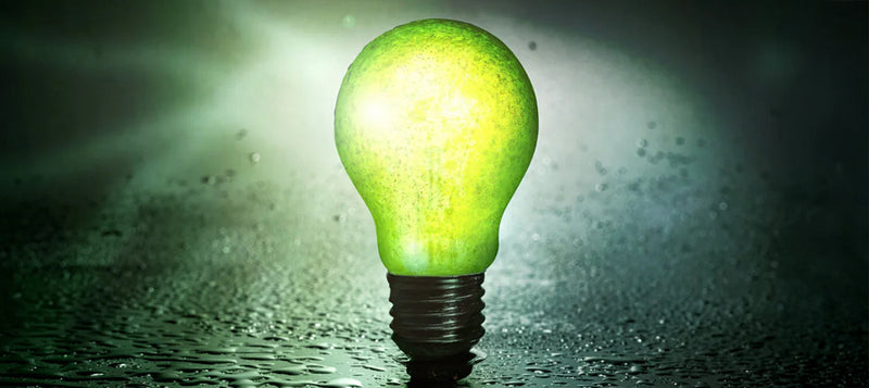 energy saving light bulb