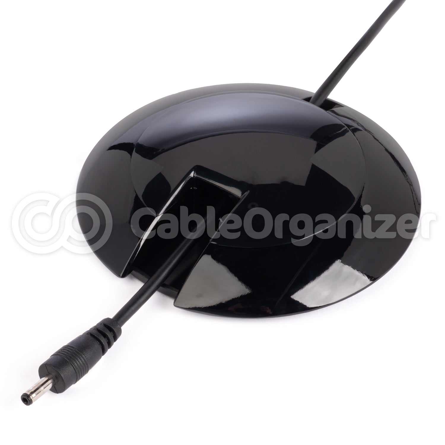 Last Chance Cablesitter