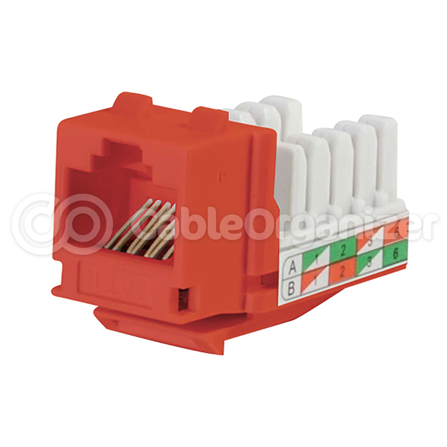 Last Chance CAT6 RJ45 UTP Keystone Jack