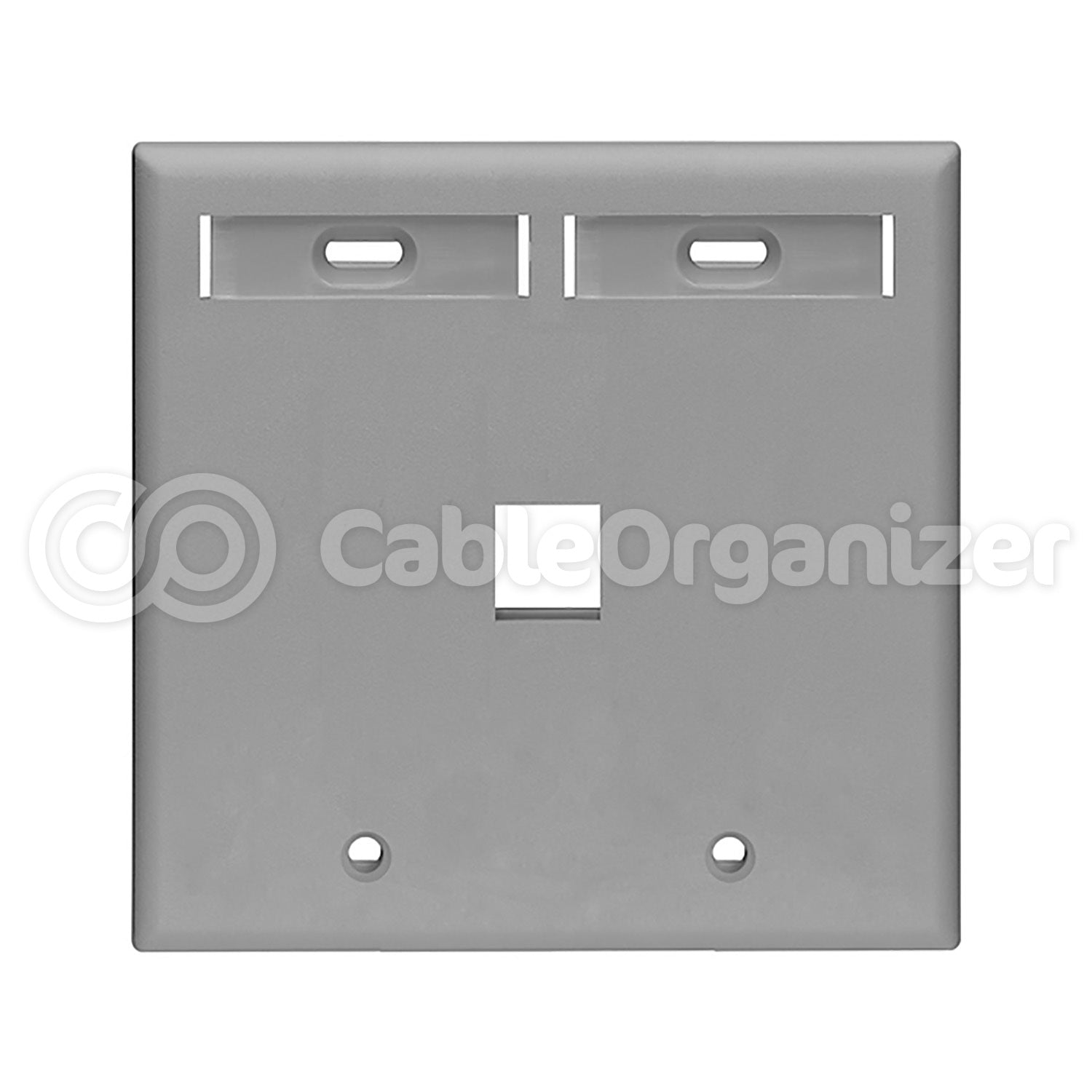 Leviton QuickPort® Dual Gang Multi-Port Wall Plates with Designation Windows