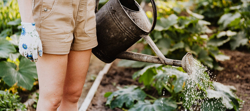 Cable Ties for Gardening: Tips and Tricks