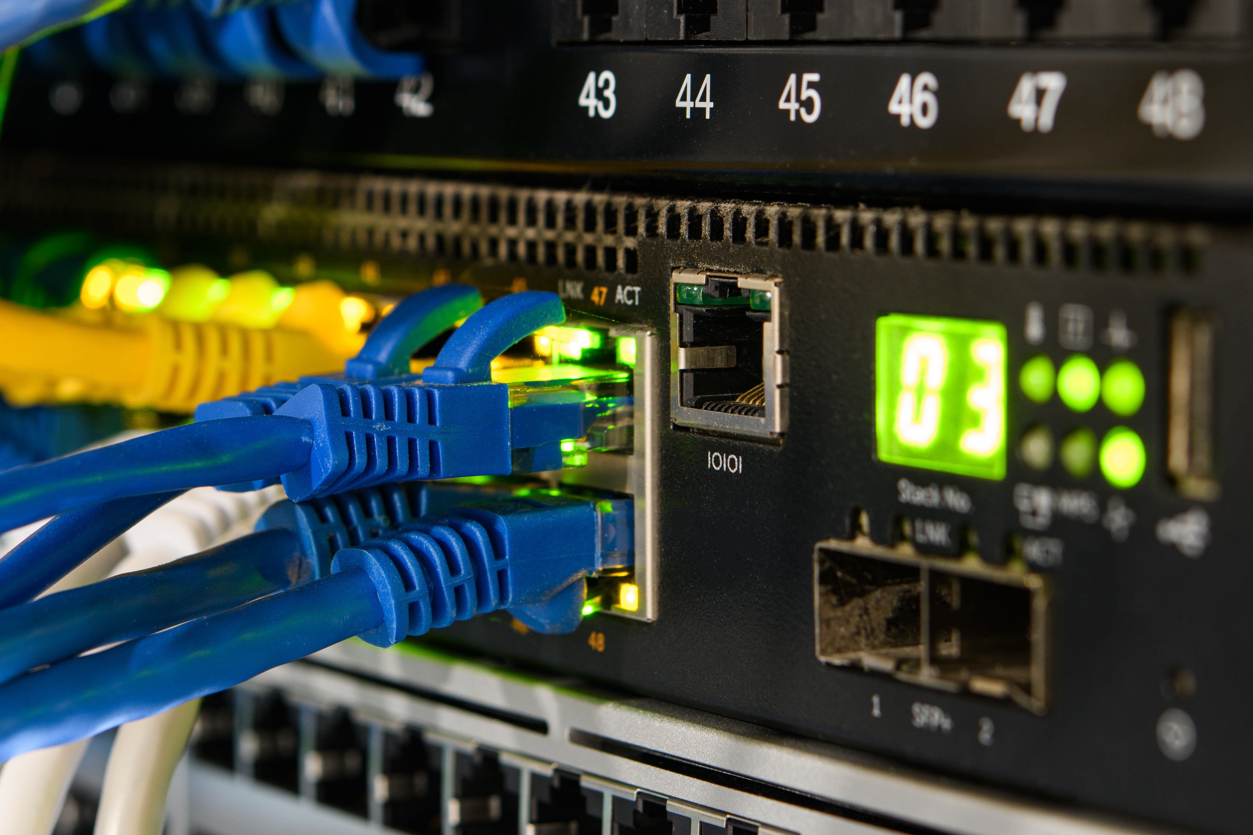 Network Cables 101: What You Need to Know – CableOrganizer