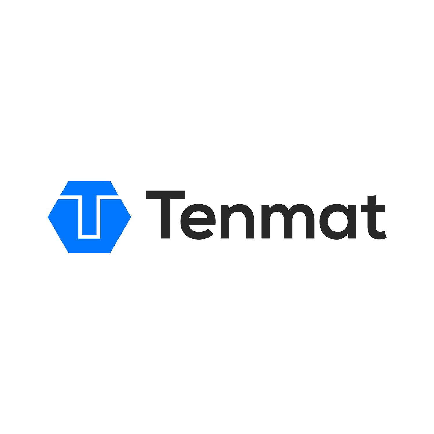About Tenmat