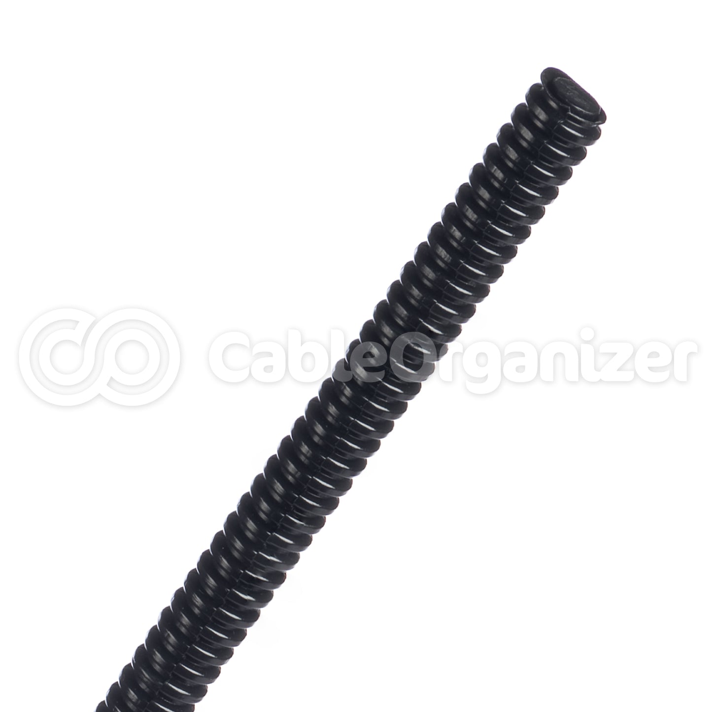 WWP0.25BK6