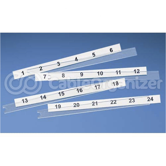 pan-c6pplk1-24