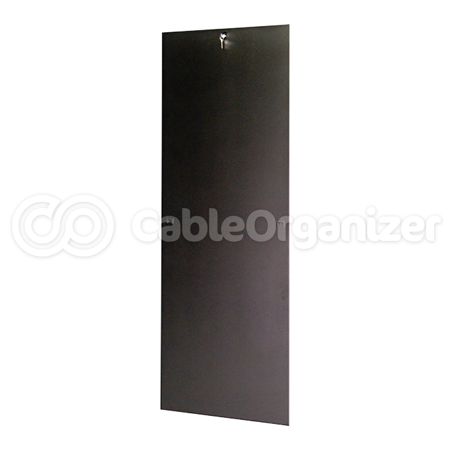 Great Lakes ES Server Enclosure - 840ES-2442, 84"H x 24"W x 42"D Side Panels