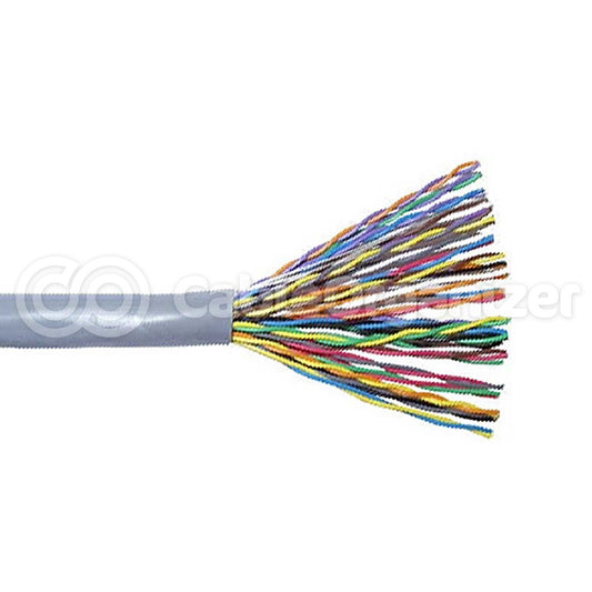 scp-cat3-25p