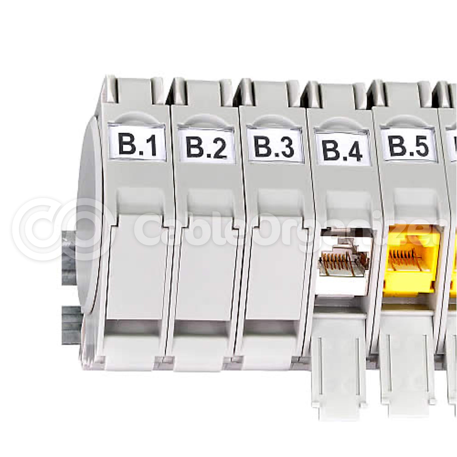 Signamax™ Keystone DIN-Rail Mounting Module