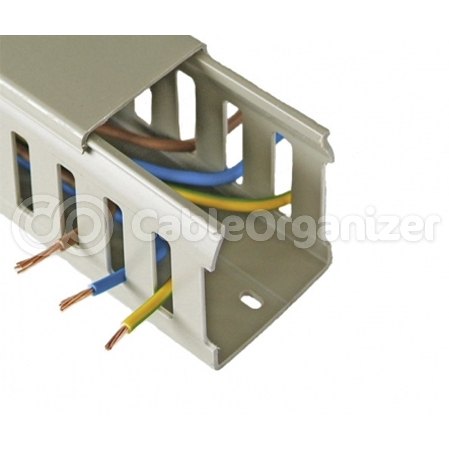 wdcs-100-200-wt